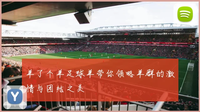 羊了个羊足球羊带你领略羊群的激情与团结之美